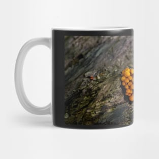 Mushroom growing in the wild jigsaw puzzle Mug